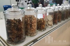 牛吃了產(chǎn)奶更健康 奶業(yè)展覽會中草藥飼料亮眼