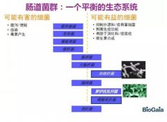 瑞典拜奧益生菌 第17屆CBME中國(guó)孕嬰童展、童裝展